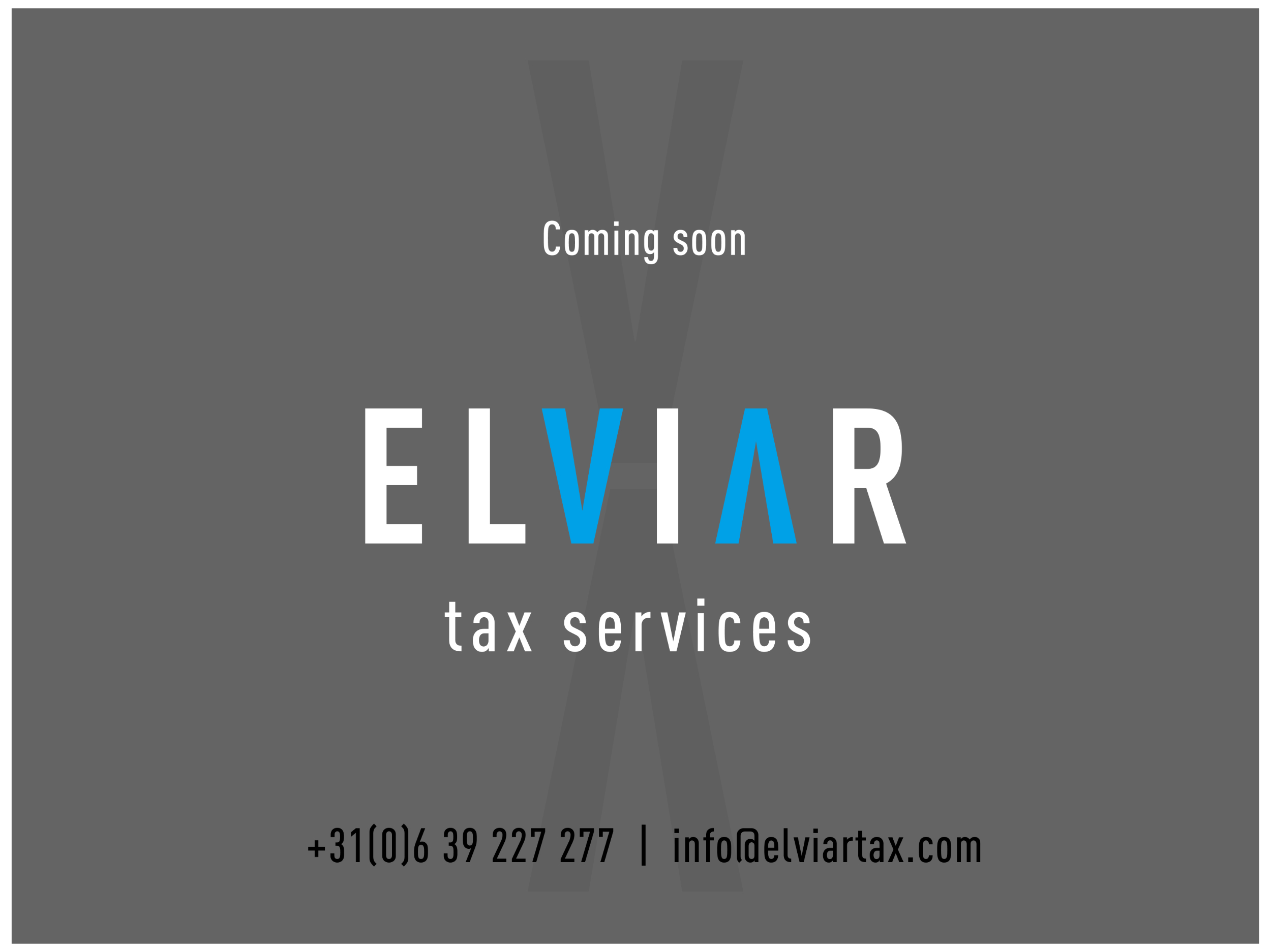 Elviar Tax services
